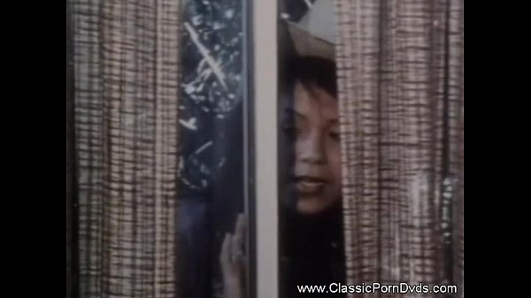 Gli amanti del porno guardano questo divertimento