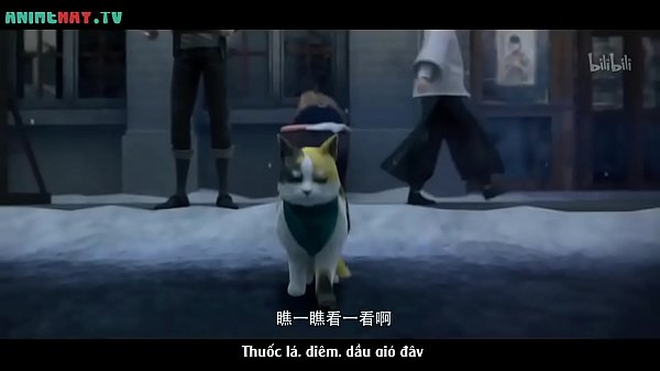 Chúc bạn có một đêm tuyệt vời