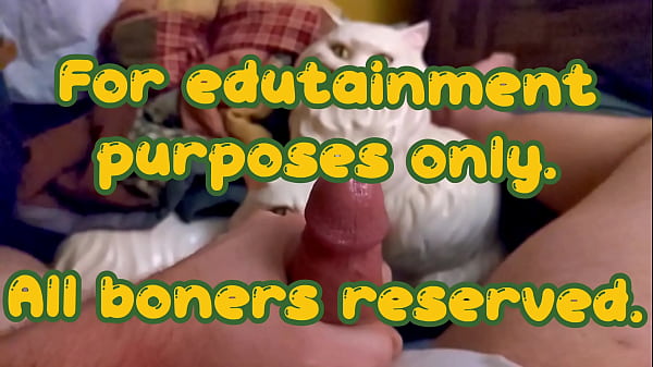 &quot_Oups ! All Corn : Porn-Free Porn" - Compilation de cornfedMTdads Niblets - Nouveautés cinématographiques pour adultes - Pas pour l'autosatisfaction - À des fins ludo-éducatives uniquement - Pour usage externe - Peut provoquer une perte d'érection et le syndrome de grosse chienne