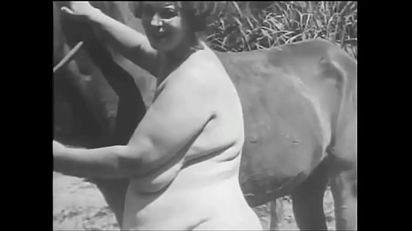 Quà tặng của Dark Lantern Entertainment