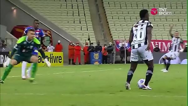 Abuelo bien dotado le come delicioso el culo peludo a un león