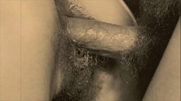 Dark Lantern Entertainment giới thiệu '_Gia đình cấm kỵ cổ điển'_ từ Cuộc sống bí mật của tôi, Lời thú tội khiêu dâm của một quý ông người Anh thời Victoria